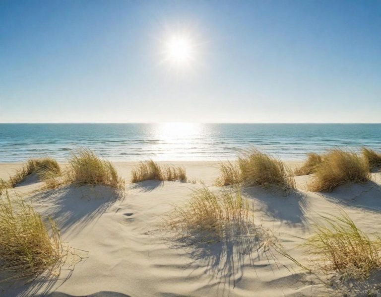 Gruppe Sechs Personen sitzen im Kreis am Strand im Achtsamkeitstraining, während eine Frau in der Mitte spricht.
